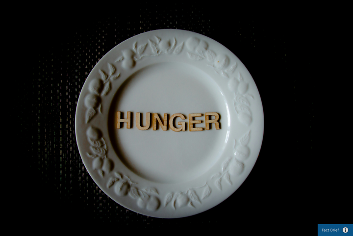 Can undocumented immigrants receive Supplemental Nutrition Assistance Program (SNAP) benefits in the U.S.?