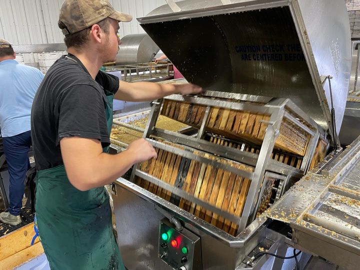Land use changed impacted honey bee health