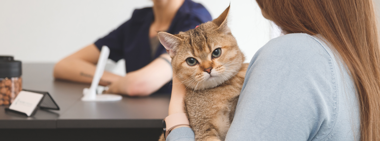 Una mujer abraza a su gato en una clínica veterinaria