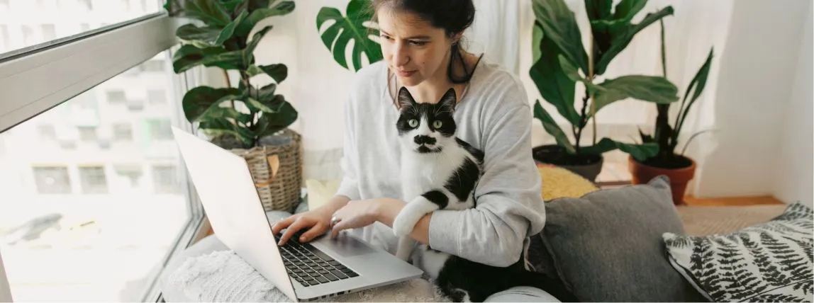 Una dueña de un gato está buscando por internet un seguro veterinario para su gato.