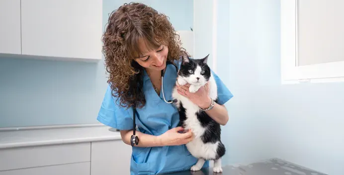 Una veterinaria sostiene a un gato en la sala de examen.