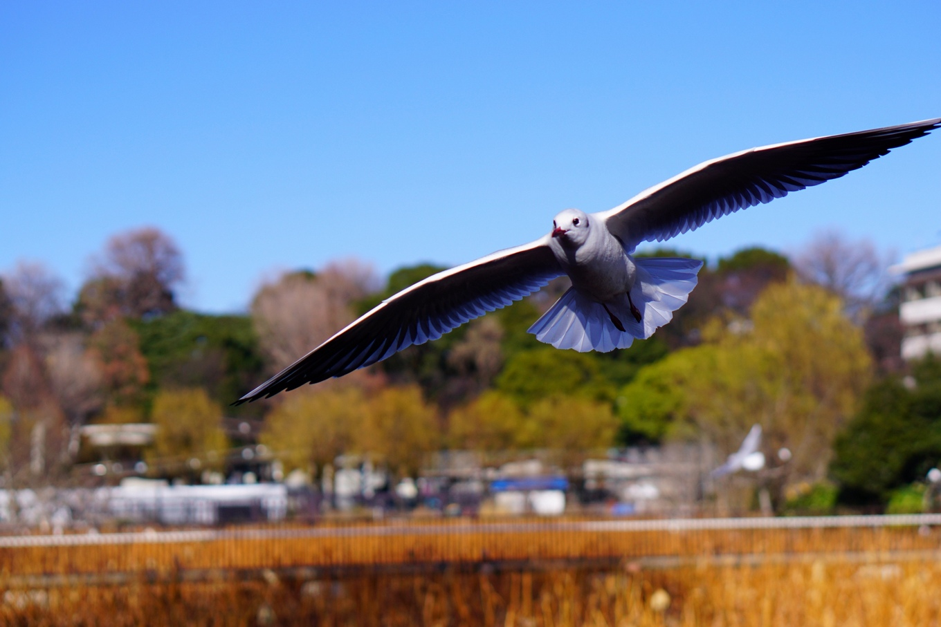 Figure4. First Sample Image