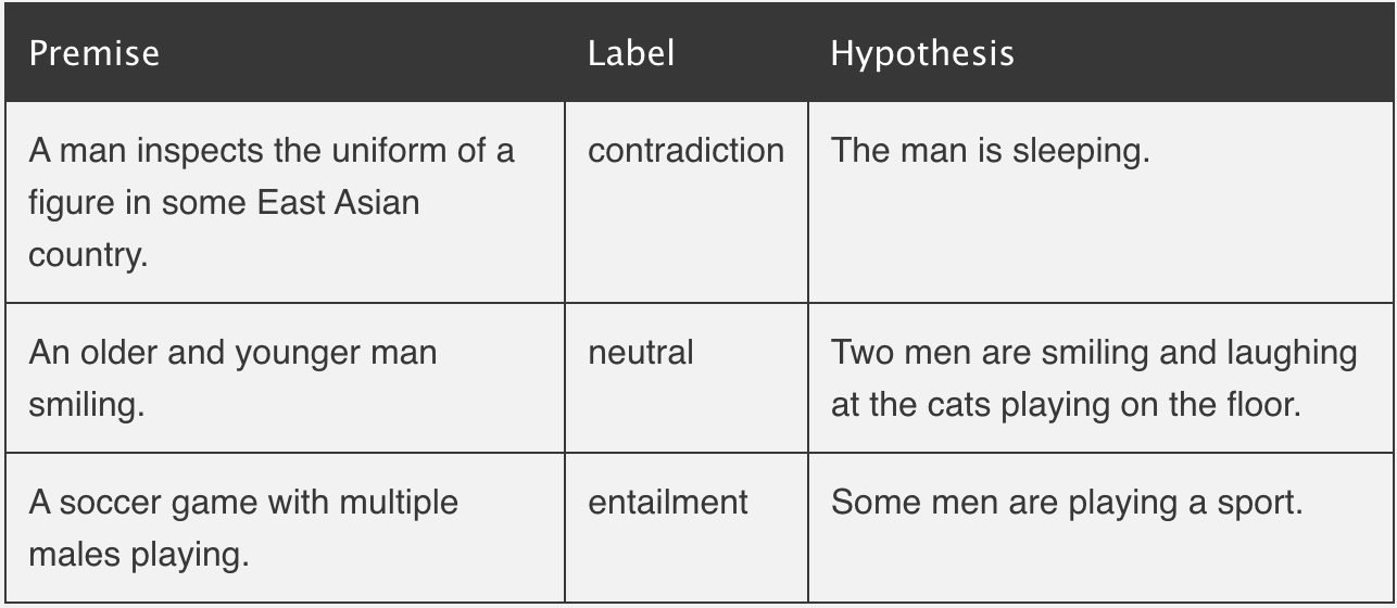 Natural Language Inference Example 