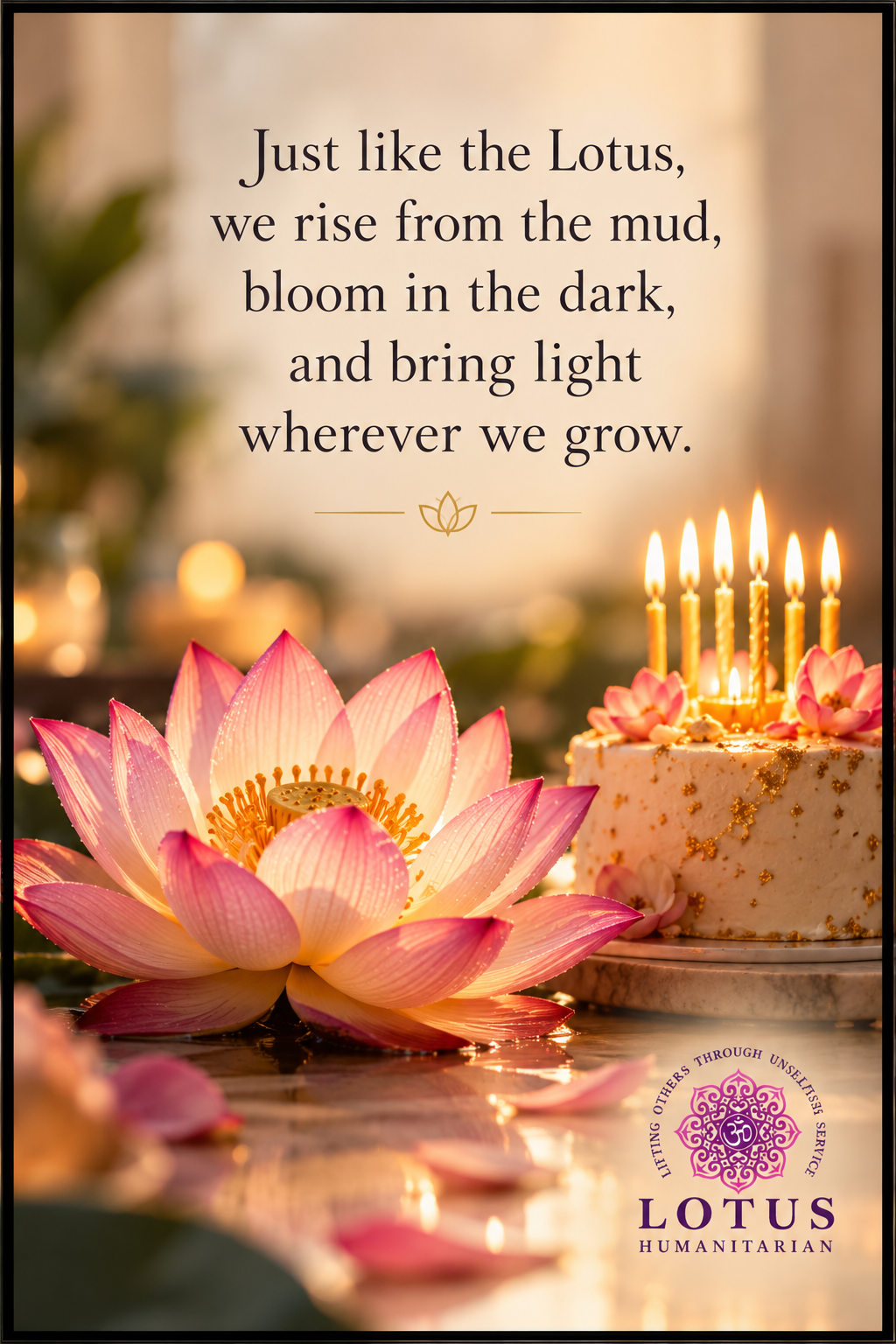 My Birthday Wish!