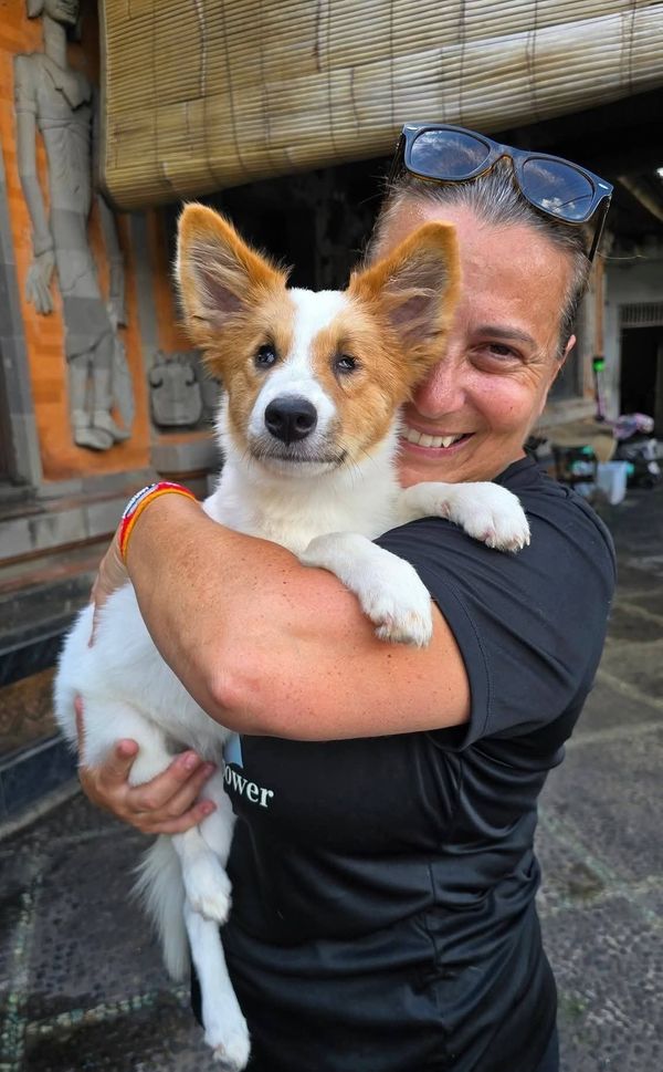 The Long Road Home: What a Blind Street Dog Taught Us About Relentless Love