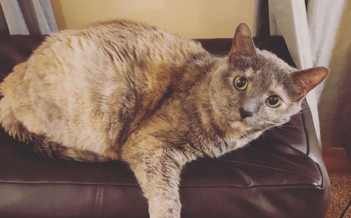 Saying Goodbye to Libby