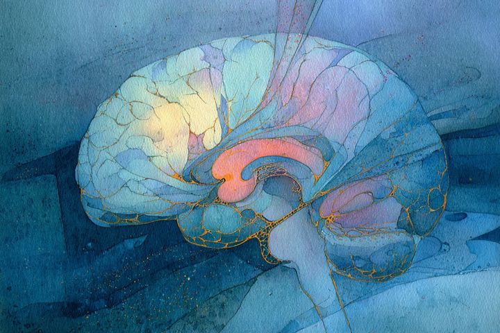 abstract watercolor illustration of a brain