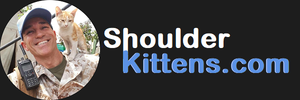 ShoulderKittens