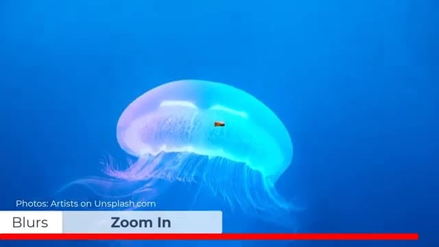 The Zoom In blur transition demonstrated in Camtasia 2021 with a jellyfish photograph