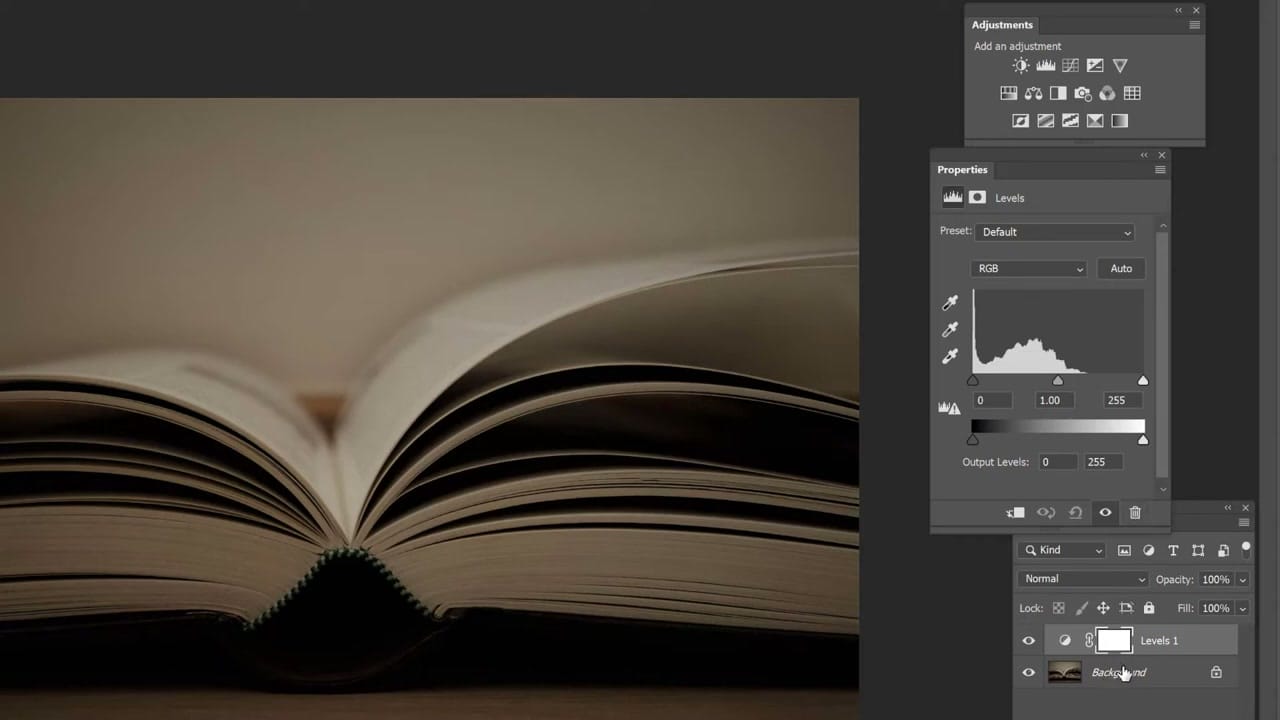 The Levels adjustment layer with histogram visible showing data skewed to the right