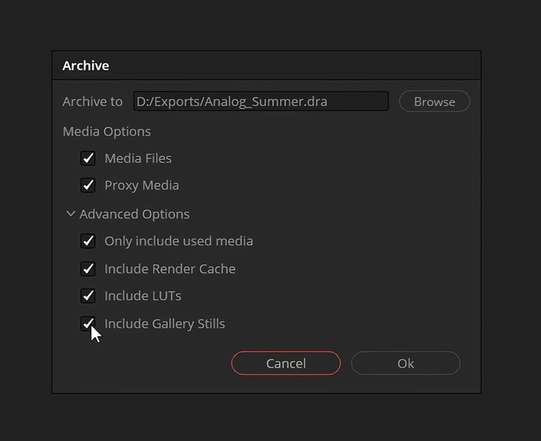 Archive Project dialogue with media, proxy, only-used-media, cache, LUT and Gallery-still checkboxes.