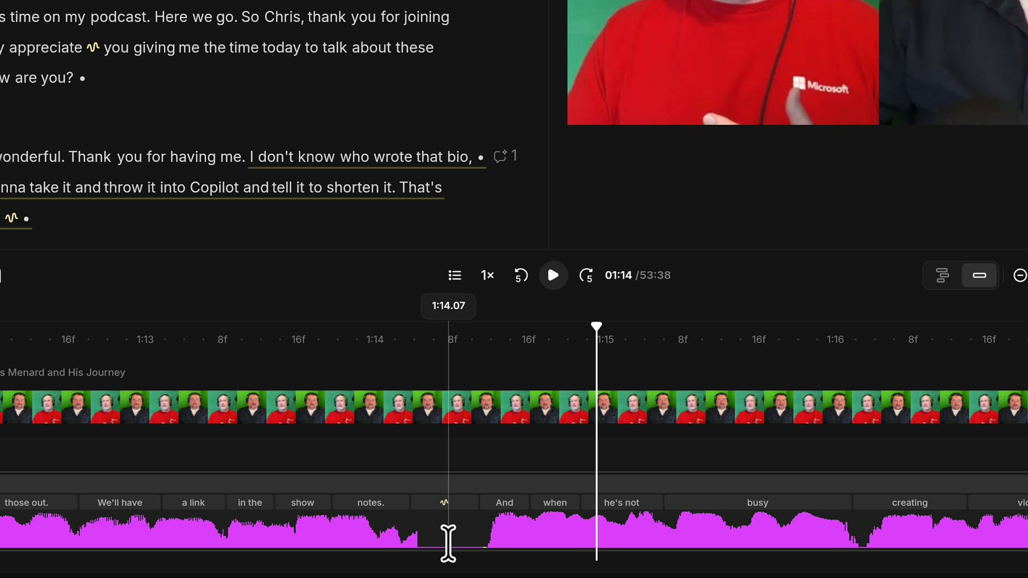 Riverside timeline zoomed in on a squiggle marker between the words notes and And, with a flat waveform underneath
