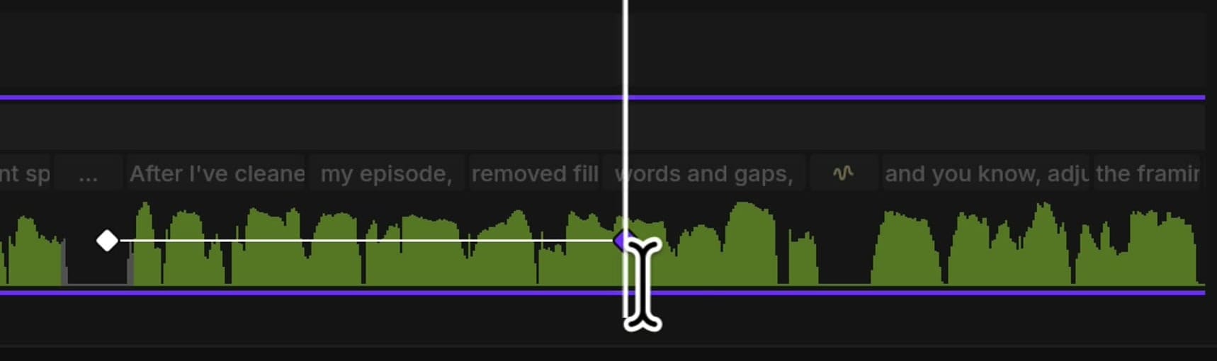 Riverside timeline showing a zoom and pan line with the end keyframe highlighted in purple