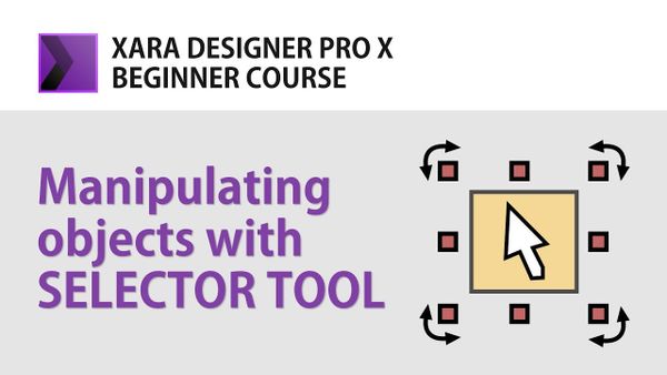 Using the Selector Tool in Xara Designer Pro: A Beginner's Guide