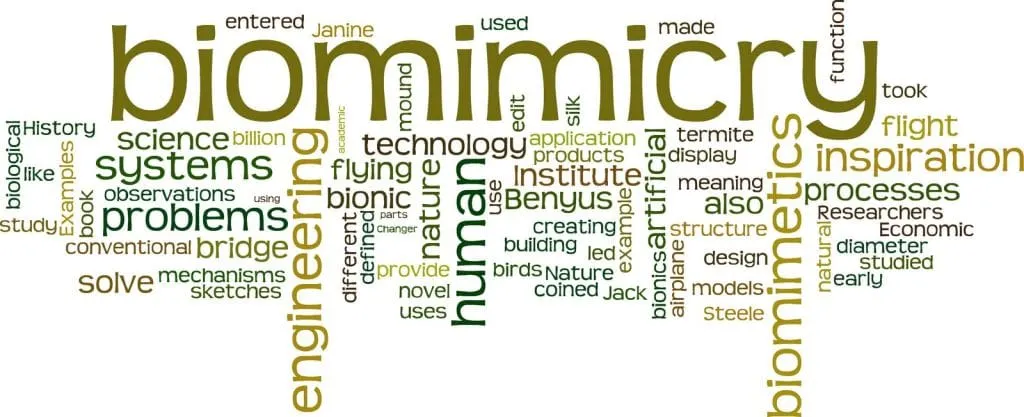 Biology Based Innovations – Biomimicry – Using biology as a source for ideas and innovations