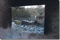 What I Did For Thanksgiving . . . .