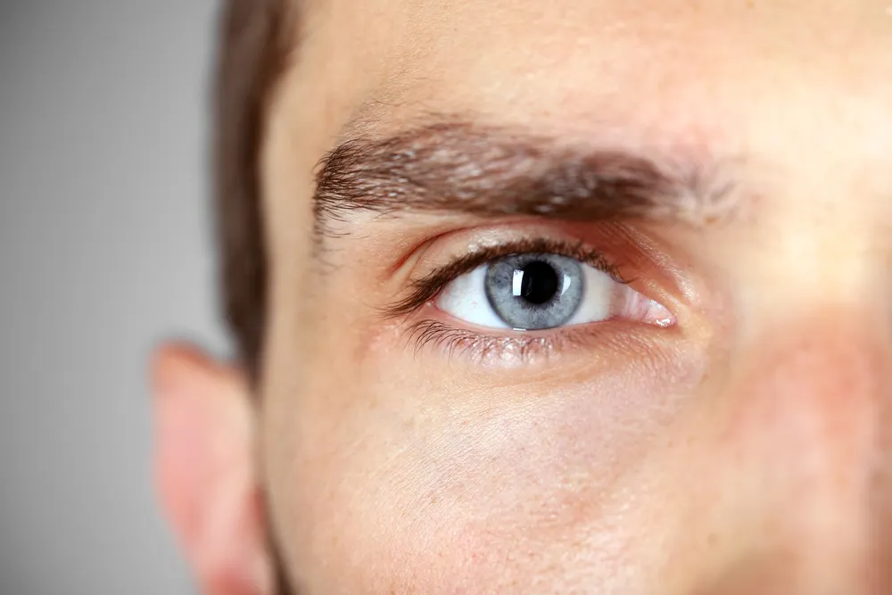 fresh eyes