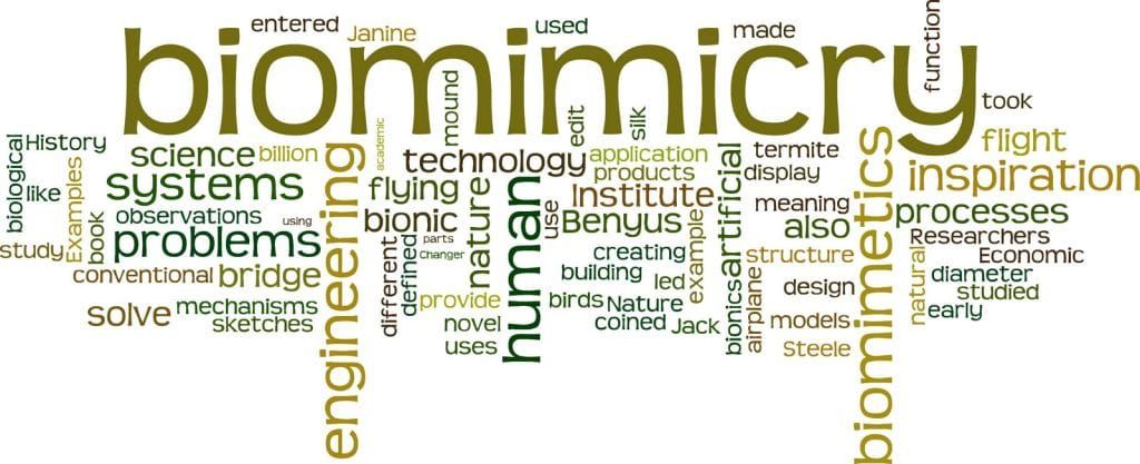 Biology Based Innovations – Biomimicry – Using biology as a source for ideas and innovations