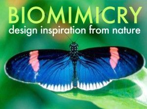 Biomimicry