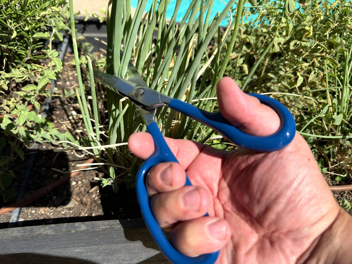 Get yourself some kitchen shears