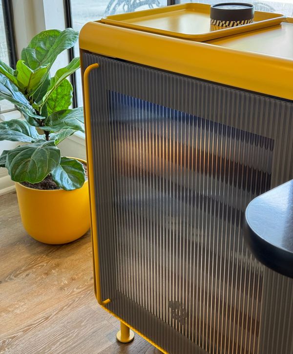 Newsletter: Rocco fridge review