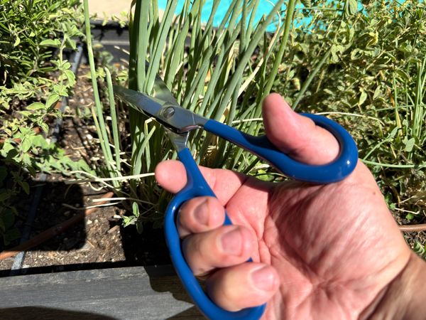 Get yourself some kitchen shears