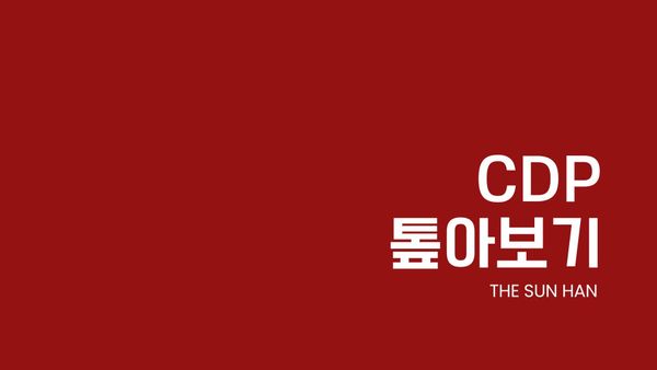 고객 데이터 플랫폼(CDP) 톺아보기