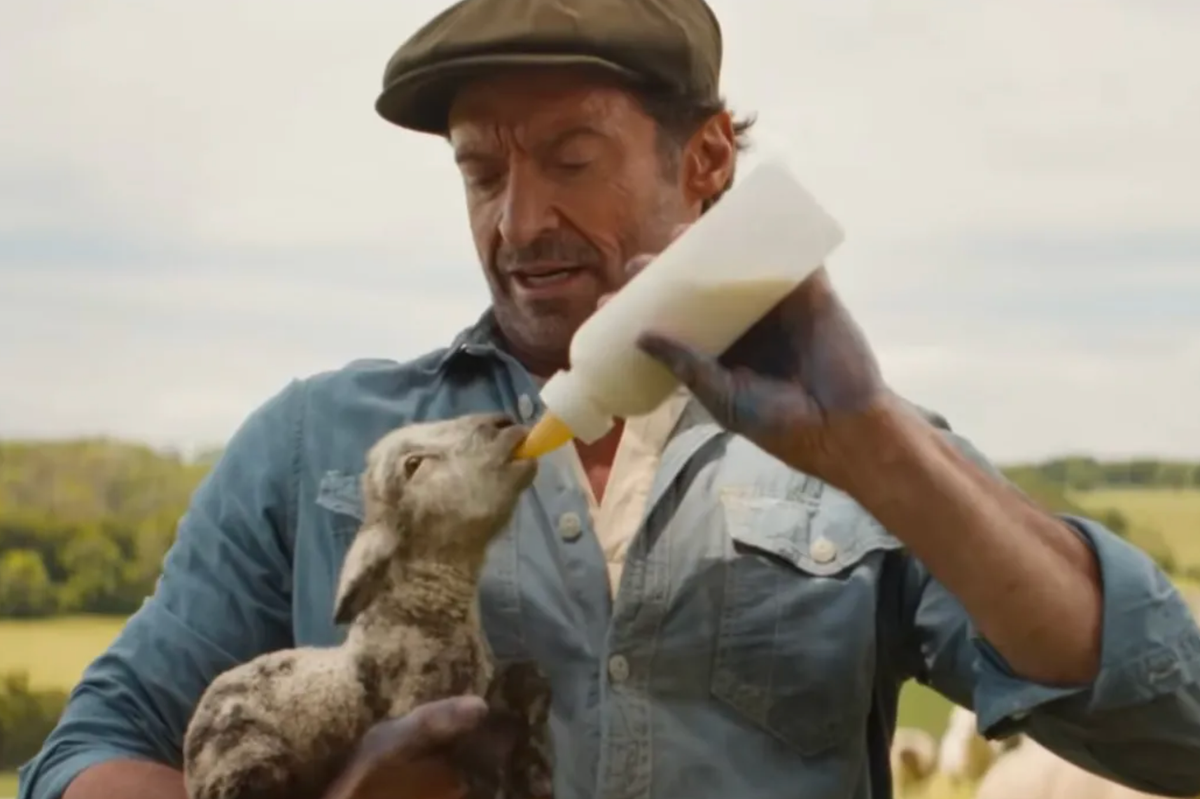 On the lamb