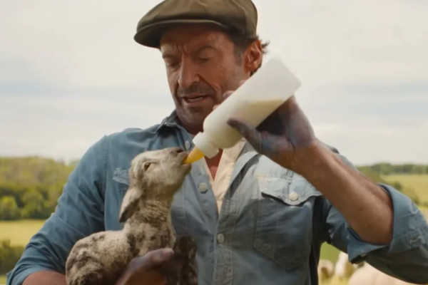 On the lamb