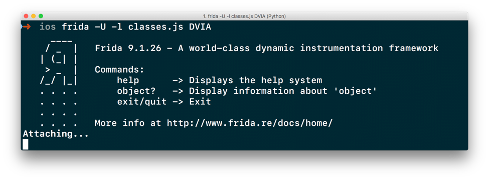 Executing JavaScript with Frida on iOS