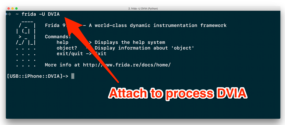 Attaching to an iOS process using Frida