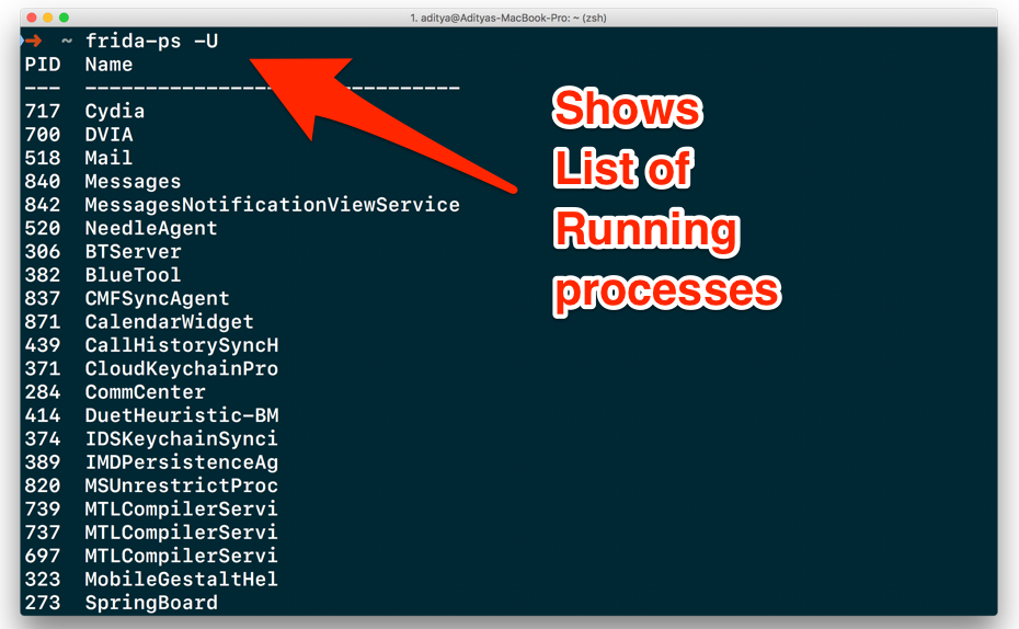 List of running processes