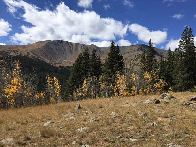 Figure 1: Mt. Elbert trail at 2AM!