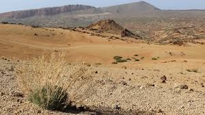 Healing in the Waiting