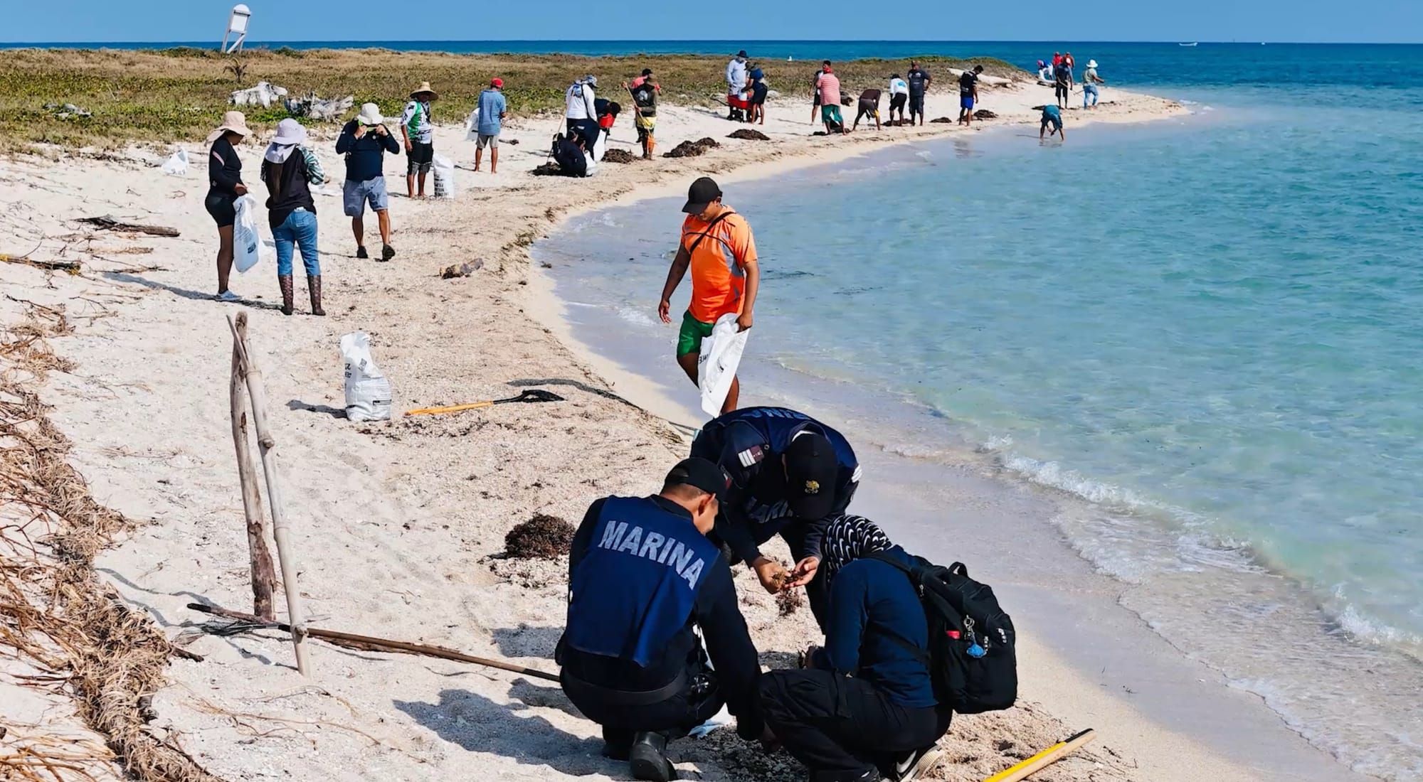Se han recogido 785 toneladas de residuos de las costas del Golfo desde el derrame a la fecha: Semar