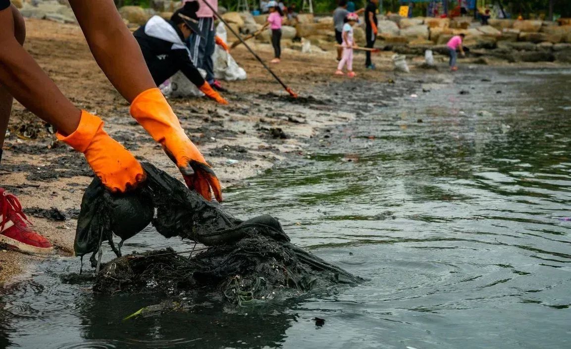 Exige PRI comparecencia de los titulares de Marina, Medio Ambiente, Petróleos Mexicanos y la Profepa para responder sobre el desastre ecológico en el Golfo de México.