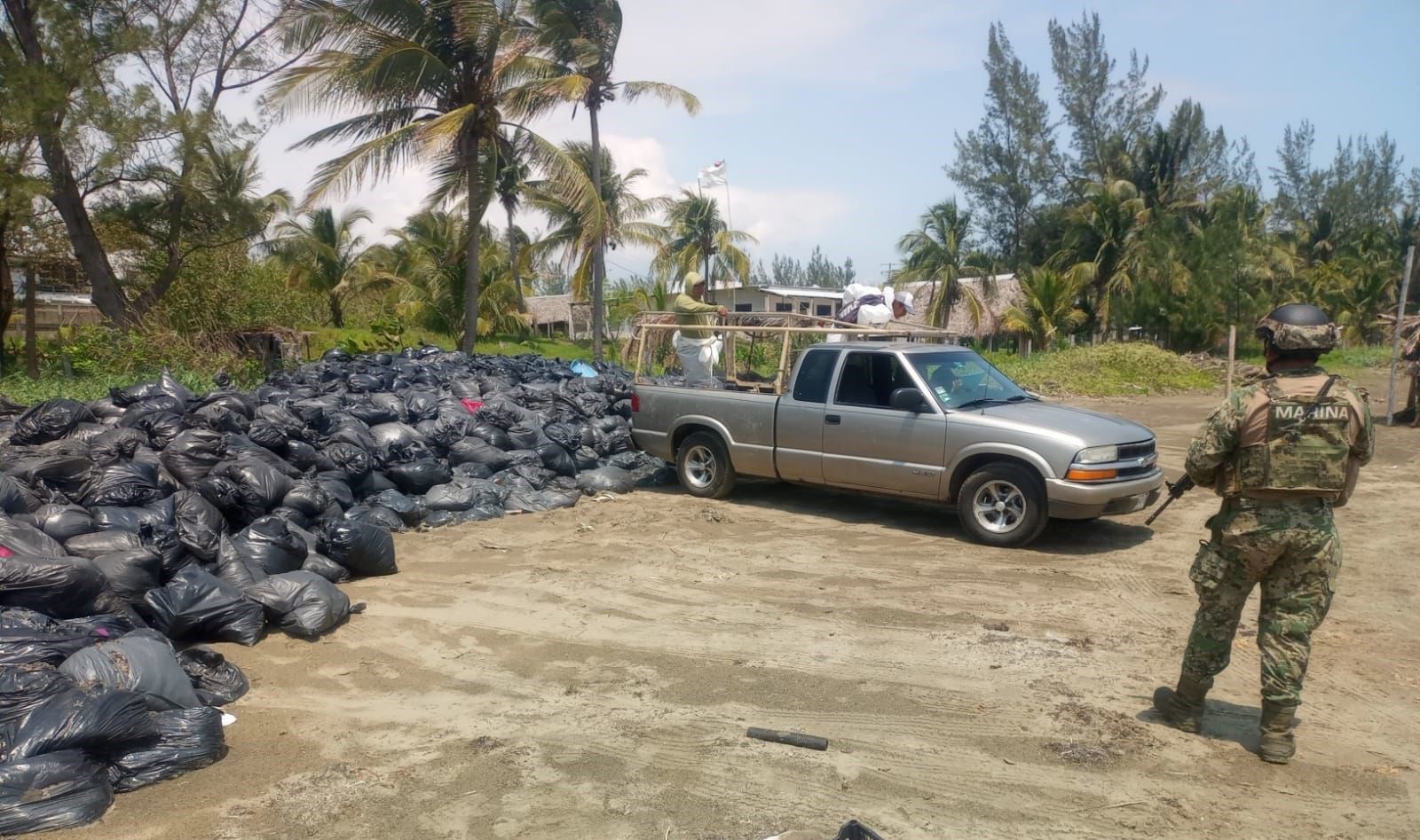 Abandonan bolsas de sargazo y las hacen pasar como residuos de hidrocarburos en Veracruz
