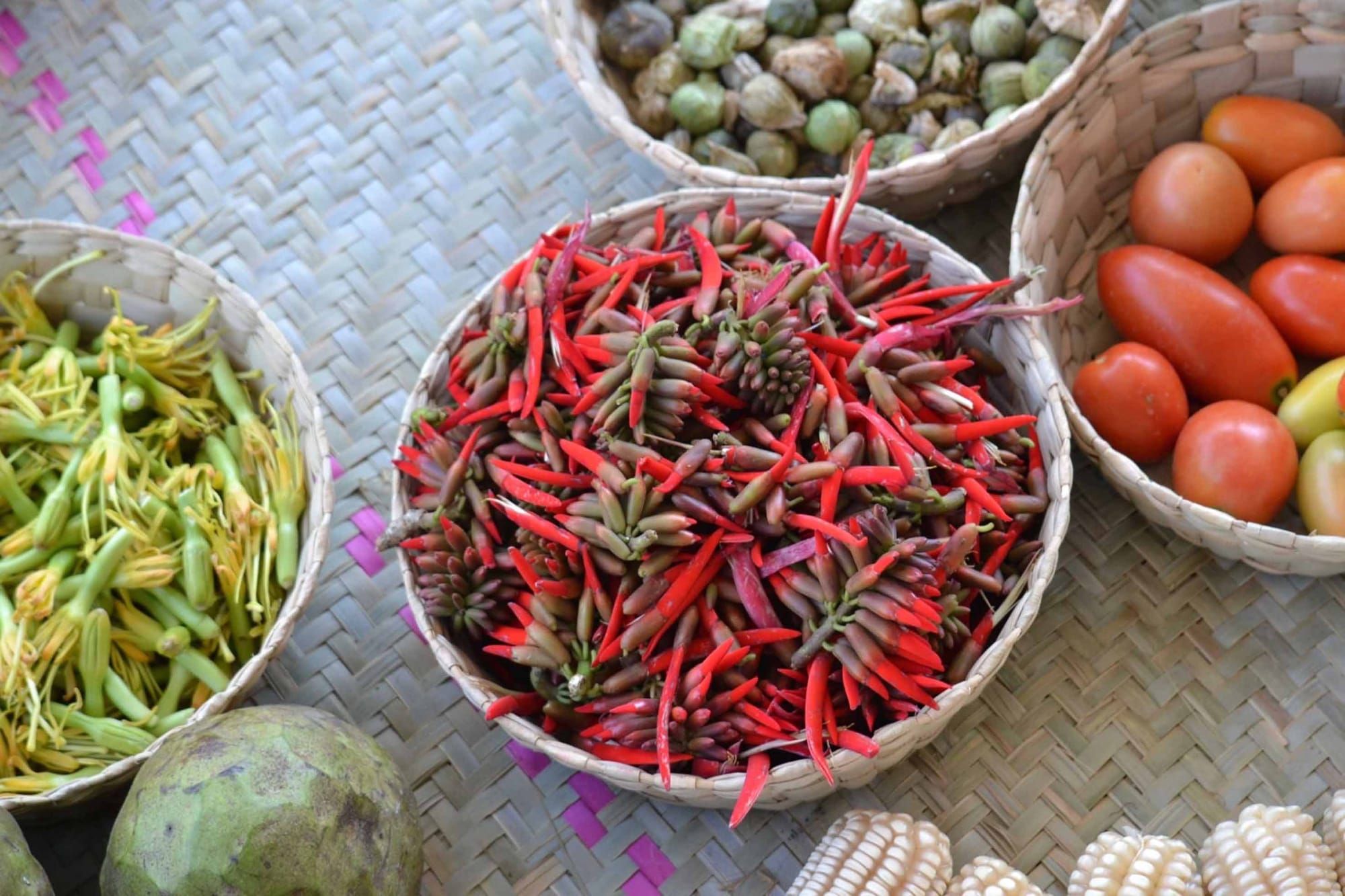 Identifican en la Mixteca Alta de Oaxaca plantas silvestres alimenticias