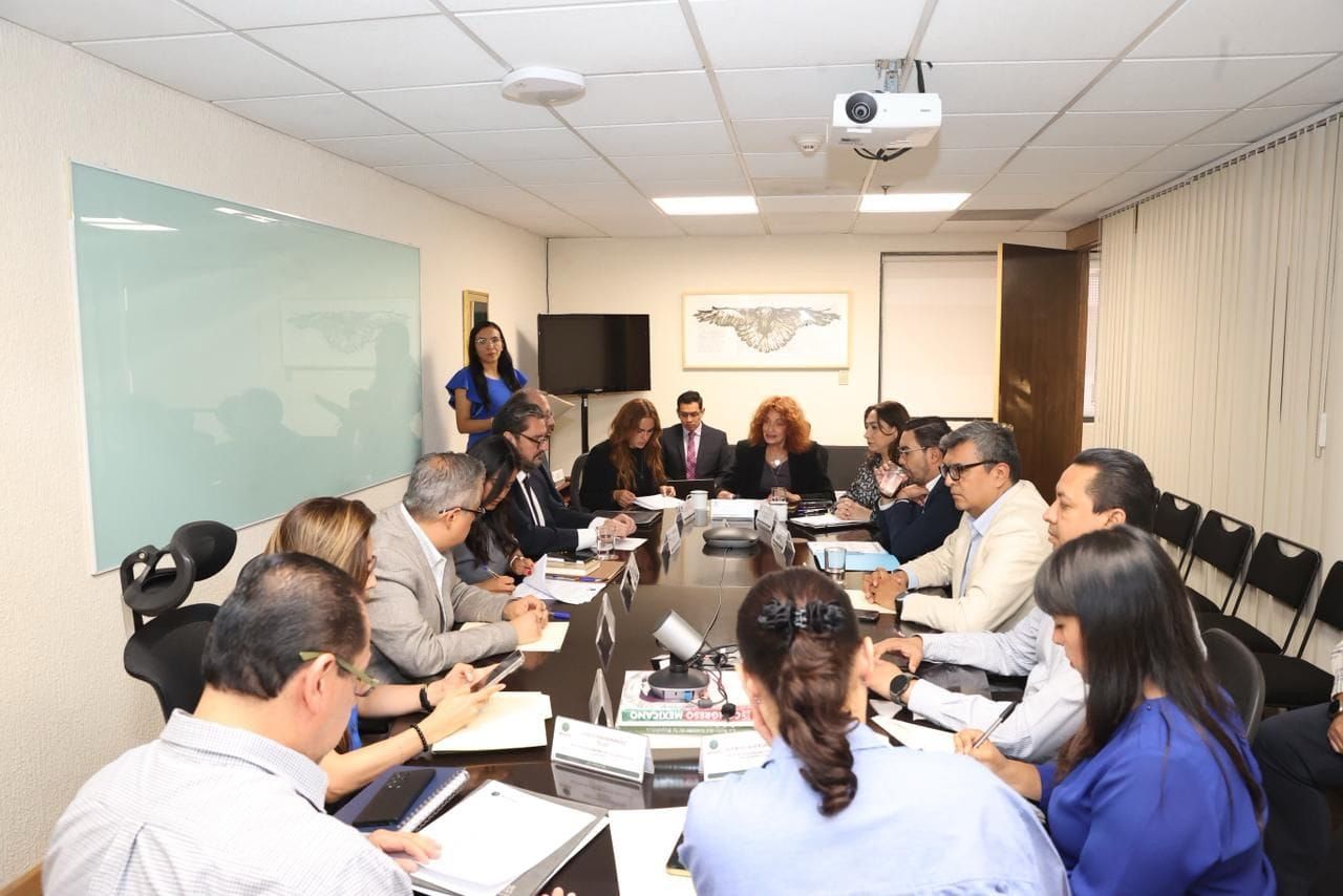 Reservan parcialmente expedientes de aspirantes al INE
