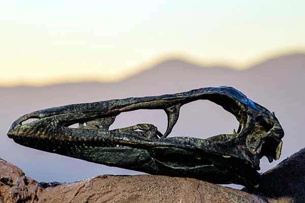 Dinosaurio descubierto en Coahuila llevará el nombre de paleontólogo de la UNAM