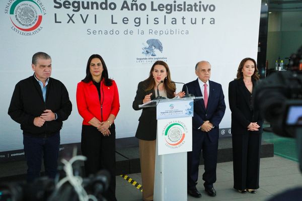 En riesgo educación de 522 mil infantes por el recorte presupuestal al Conafe, advierte senadora Carolina Viggiano