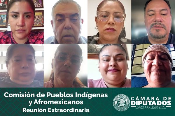 Comisión de Pueblos Indígenas citará a comparecer al titular del INPI el próximo 23 de junio