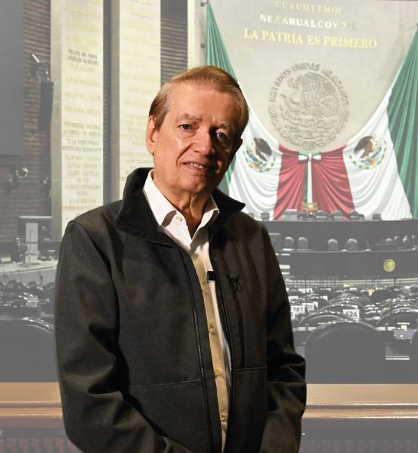 Arsenal. La recompensa de Morena al servilismo electoral del TEPJF. Por Francisco Garfias.