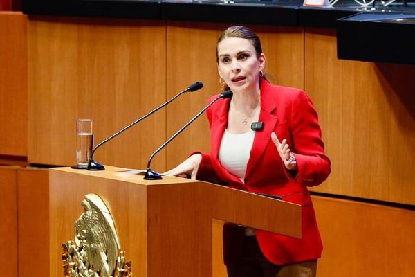 La Opinión de Carolina Viggiano. Si el pueblo es sabio, déjenlo decidir. Por Alma Carolina Viggiano Austria