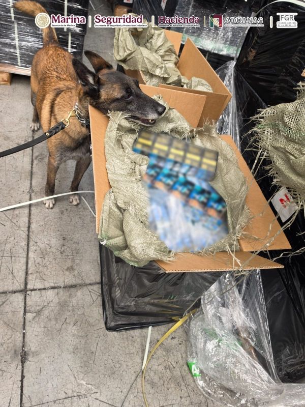 ¡Golpe al contrabando! Aseguran más de 5.4 millones de cigarros en el AICM