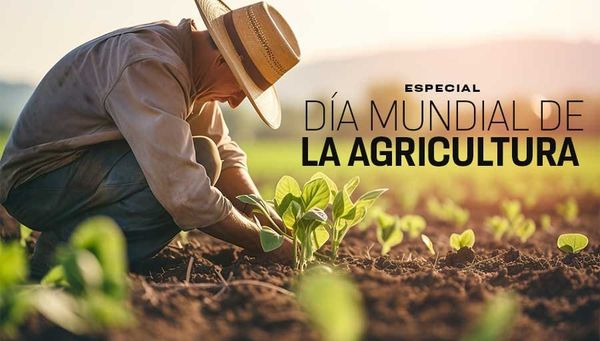 Ya Cantó El Gallo. Ya es MIERCOLES 9 de septiembre Saludos desde el Sur de Monterrey. Por Tío Toño