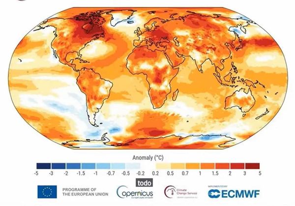 Advierte Julia Carabias riesgo de extinción de un millón de especies para 2100 por calentamiento global