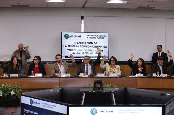 Ley Aduanera: endurecen controles y multas para hidrocarburos y petrolíferos