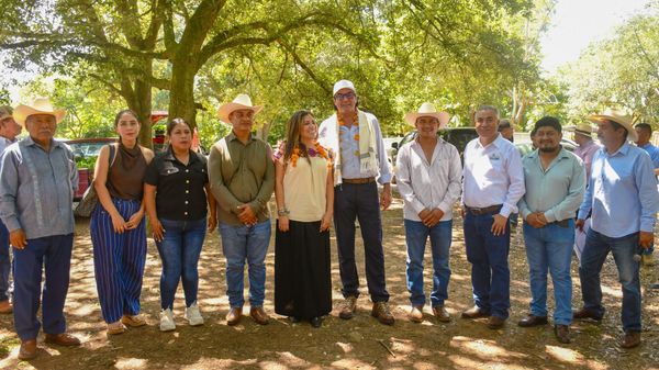 Un millón de plantas de café para el campo veracruzano