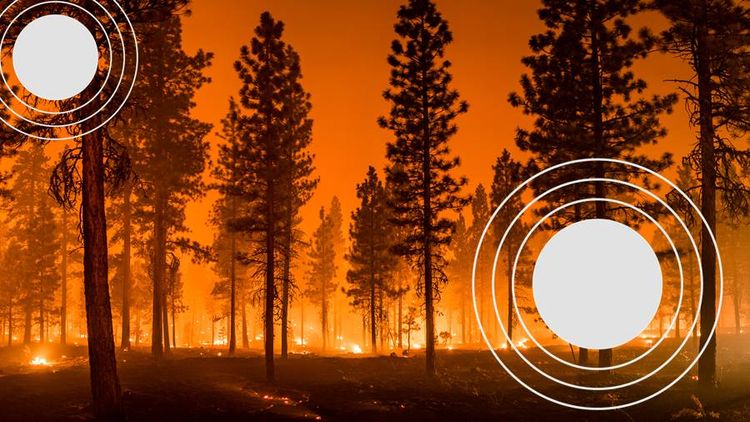 Western fires won’t halt Westward ho